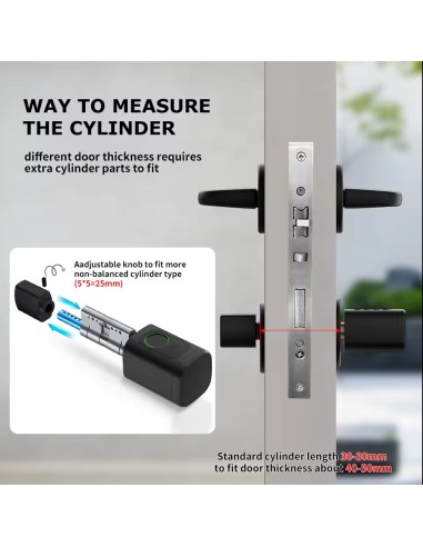 European Standard Lock Cylinder Tuya or Ttlock Fingerprint and Passwor