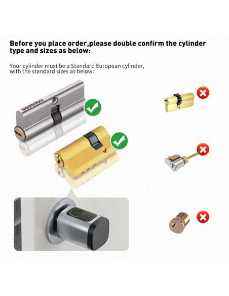 European Standard Lock Cylinder Tuya or Ttlock Fingerprint and Passwor