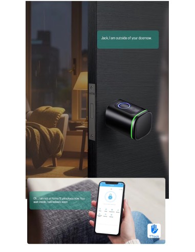 European Standard Lock Cylinder Tuya or Ttlock Fingerprint and Passwor